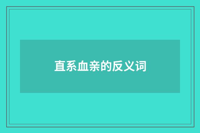 直系血亲的反义词