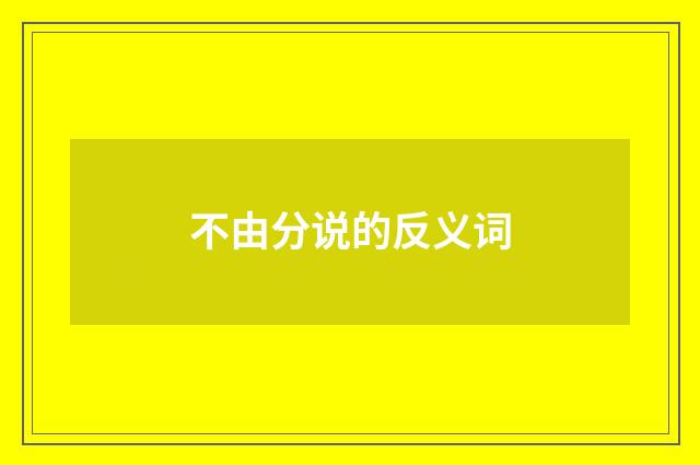 不由分说的反义词