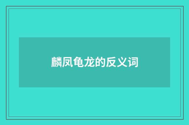 麟凤龟龙的反义词
