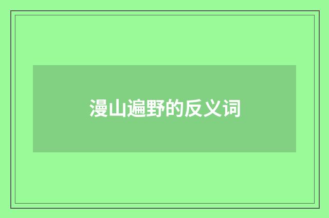 漫山遍野的反义词