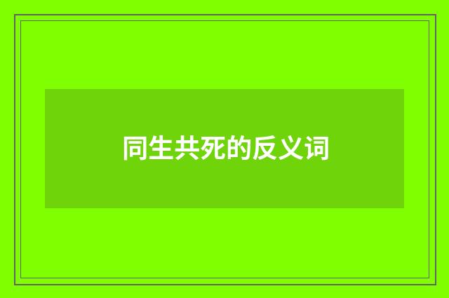 同生共死的反义词