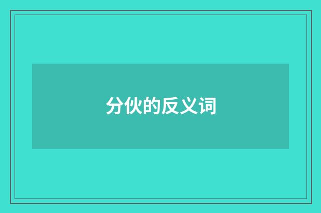 分伙的反义词